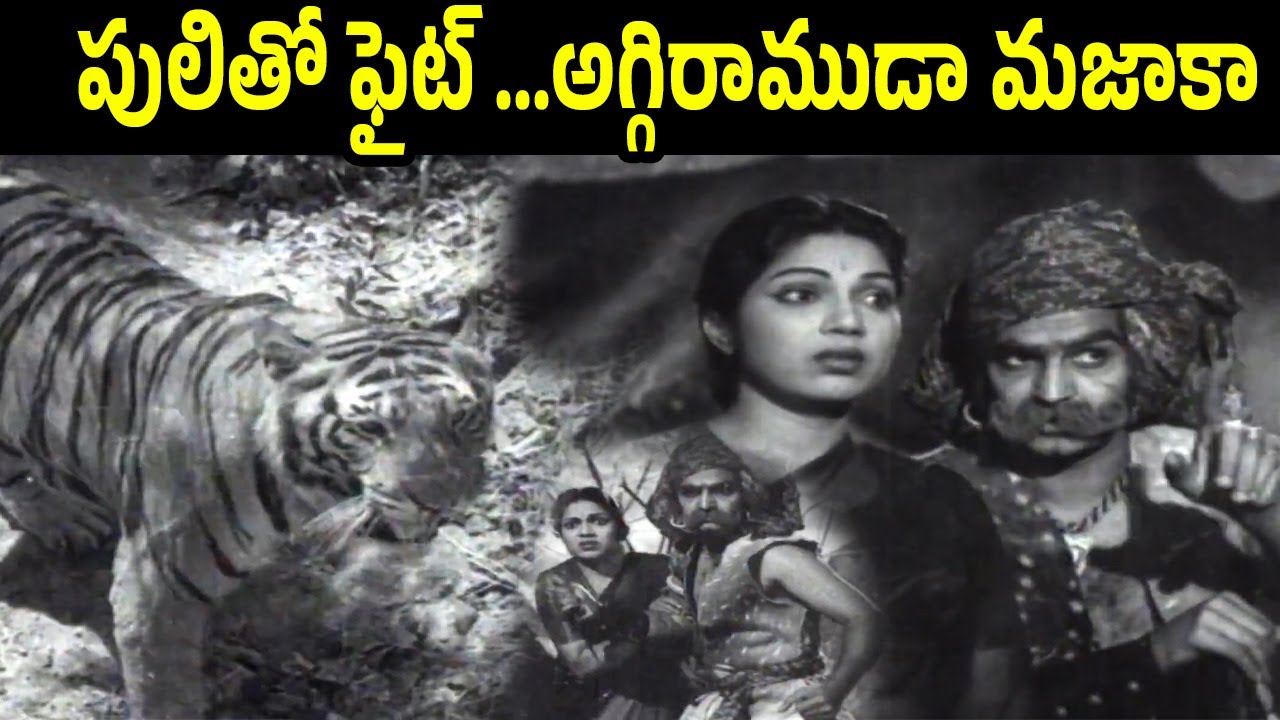 పులితో ఫైట్ అగ్గిరాముడా మజాకా Aggi Ramudu 1954 | NTR Action Scene | Bhanumathi | iD Harivillu