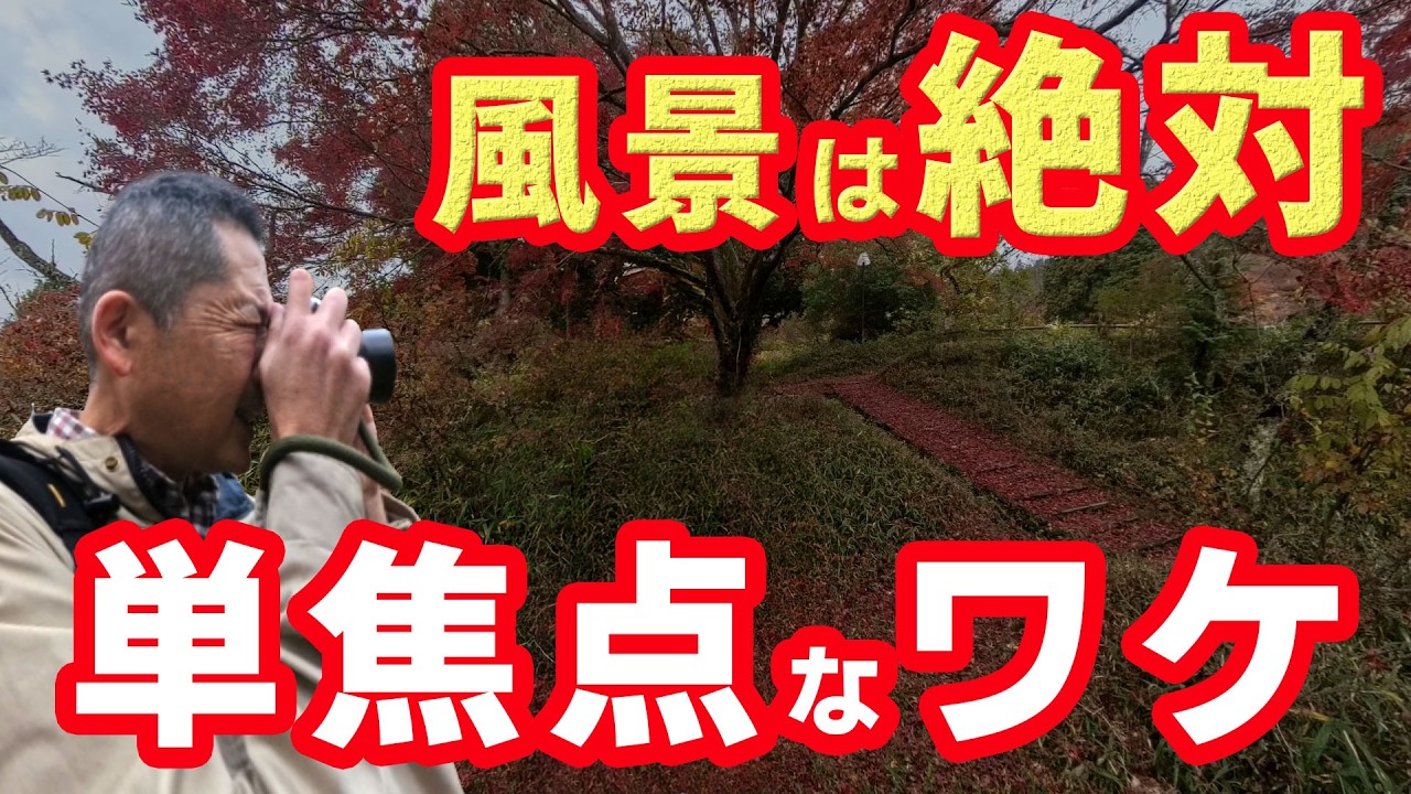 マイクロフォーサーズを使うなら風景は単焦点で攻めろ！ズームレンズで撮る撮影よりも写真がもっと上手くなる