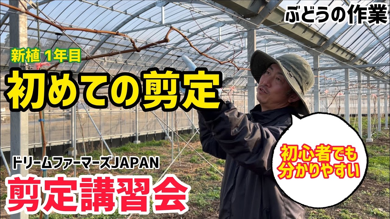 「ぶどうの作業」初心者にも分かりやすい、剪定講習会を実施しました！