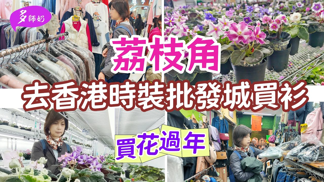 【香港工業中心】🤩 荔枝角一日遊💖香工過年好多新貨返👍全港最大紫羅蘭種植場~香港本地遊+紫羅蘭種植課程