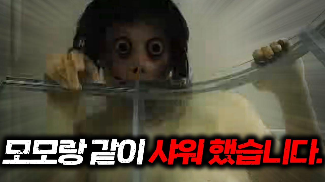 모모랑 같이 샤워 했습니다..
