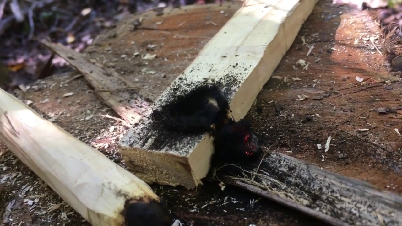 Flint and Steel Kit: Uncharred, Charred, and Ashed Material