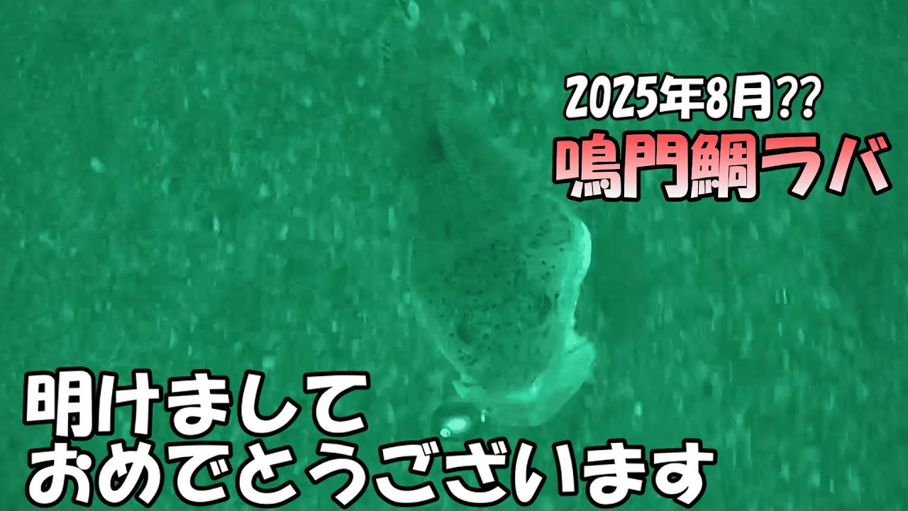 忘れられていた8月の鯛ラバ...