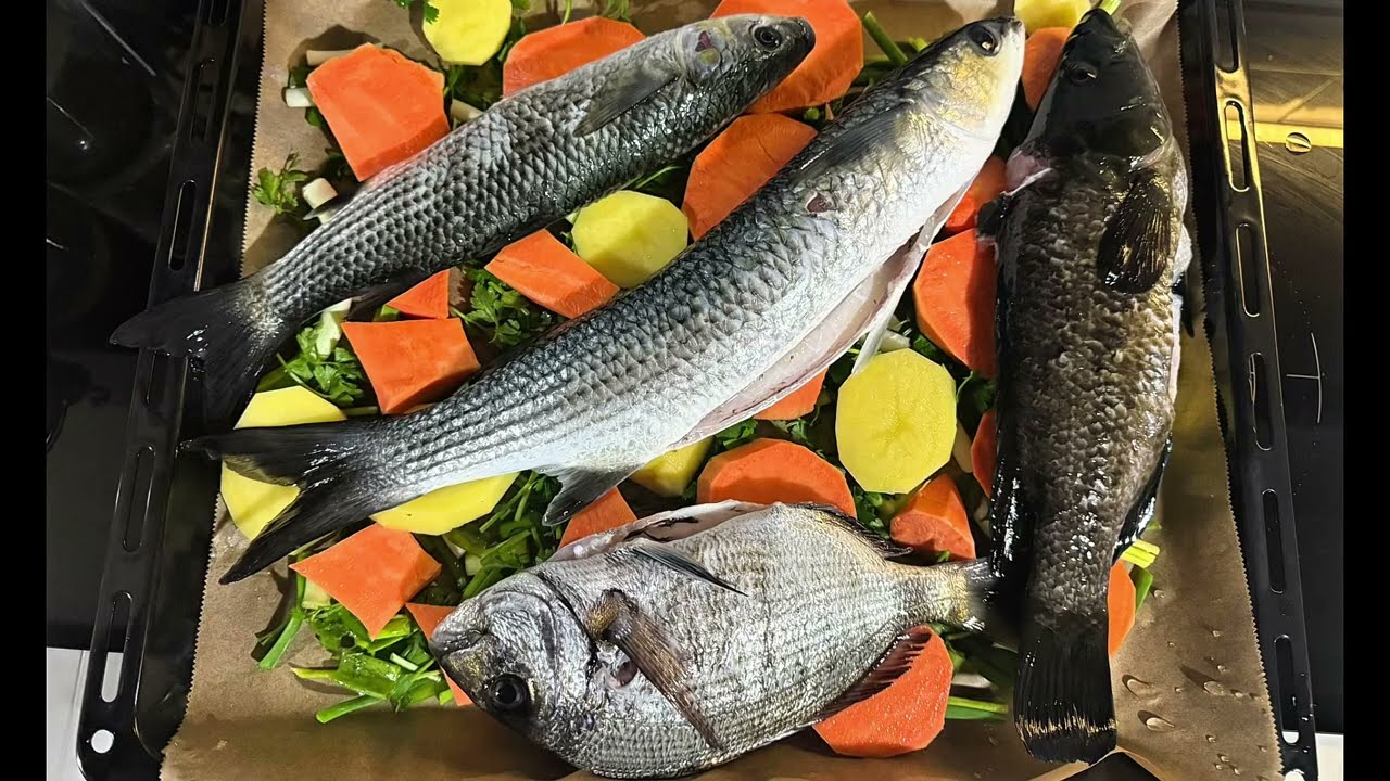 Seferihisar Zıpkınla Balık Avı / Şubat 2026 - 2 / Spearfishing
