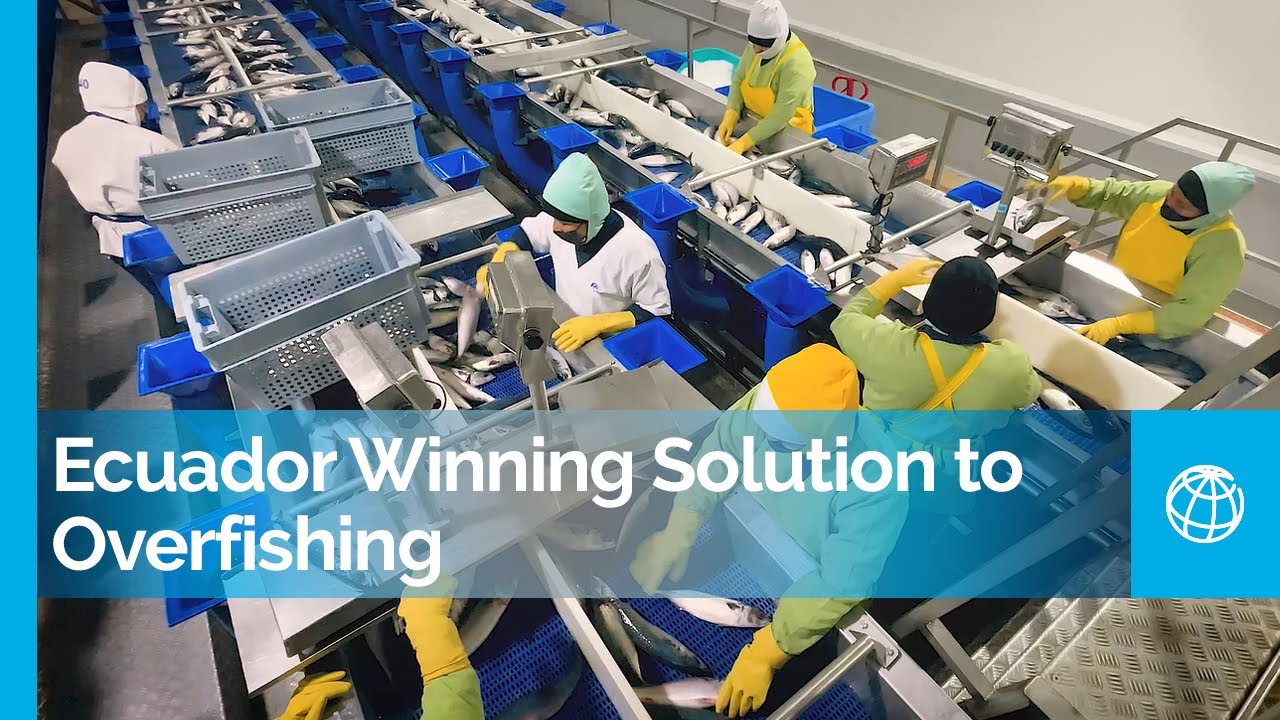 Ecuador: Promoting Sustainable Practices for the Fishmeal Industry