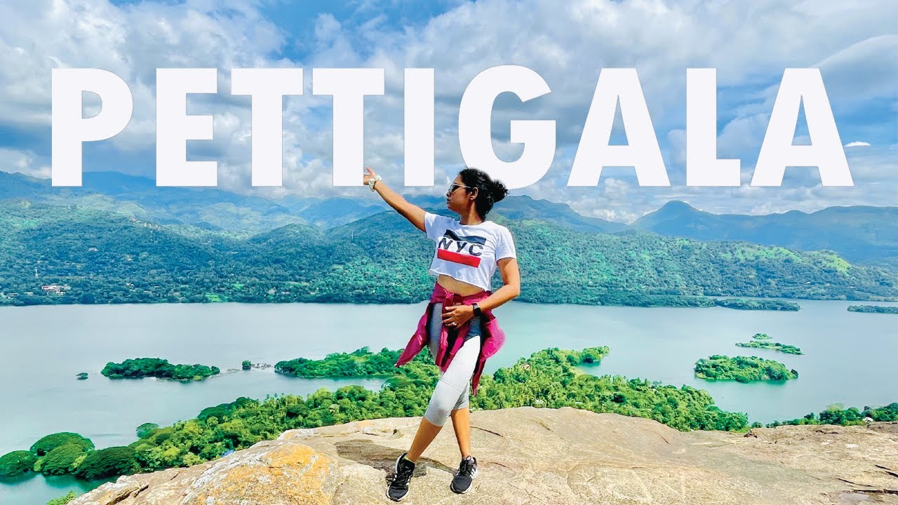 Pettigala Hike | Bambaragala | Kandy  | Travel to Travel Sri Lanka | VLOG #31 #pettigala #babaragala