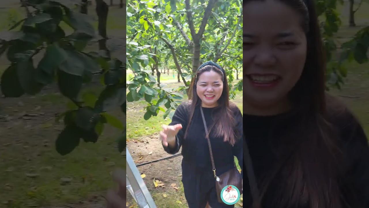 Cheekie Cherries