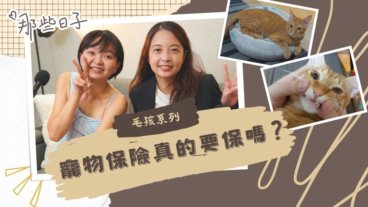 寵物保險真的需要嗎？飼主該注意什麼？｜那些日子ANOHI｜VedioPodcast