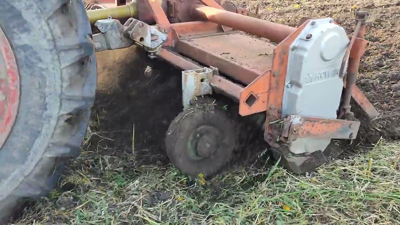 Dzień drugi niszczenia poplonu ze słonecznika grochu i łubinu. Glebogryzarka HOWARD I FENDT F380GT.