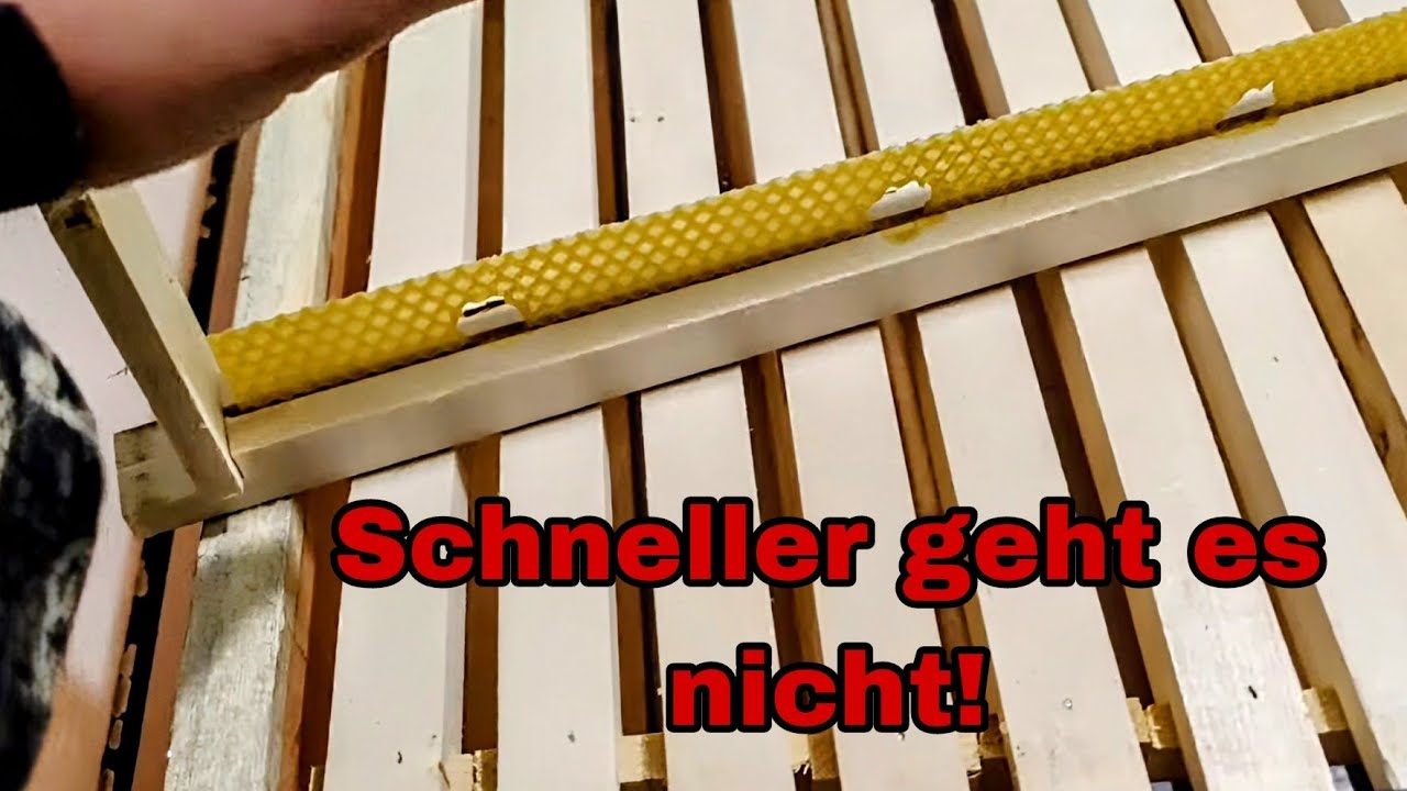 Schnell Honigrähmchen & Trennschied bauen & Rähmchen großeinkauf!
