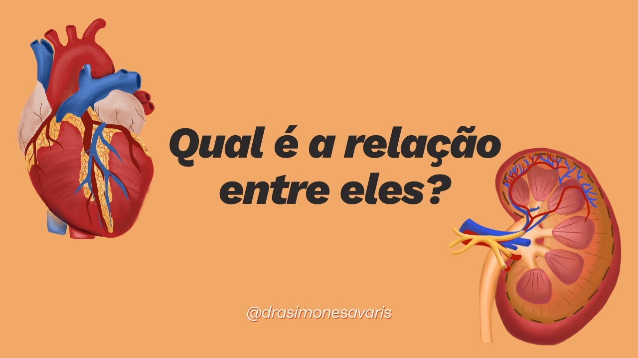 Coração e rins - qual é a relação entre eles?