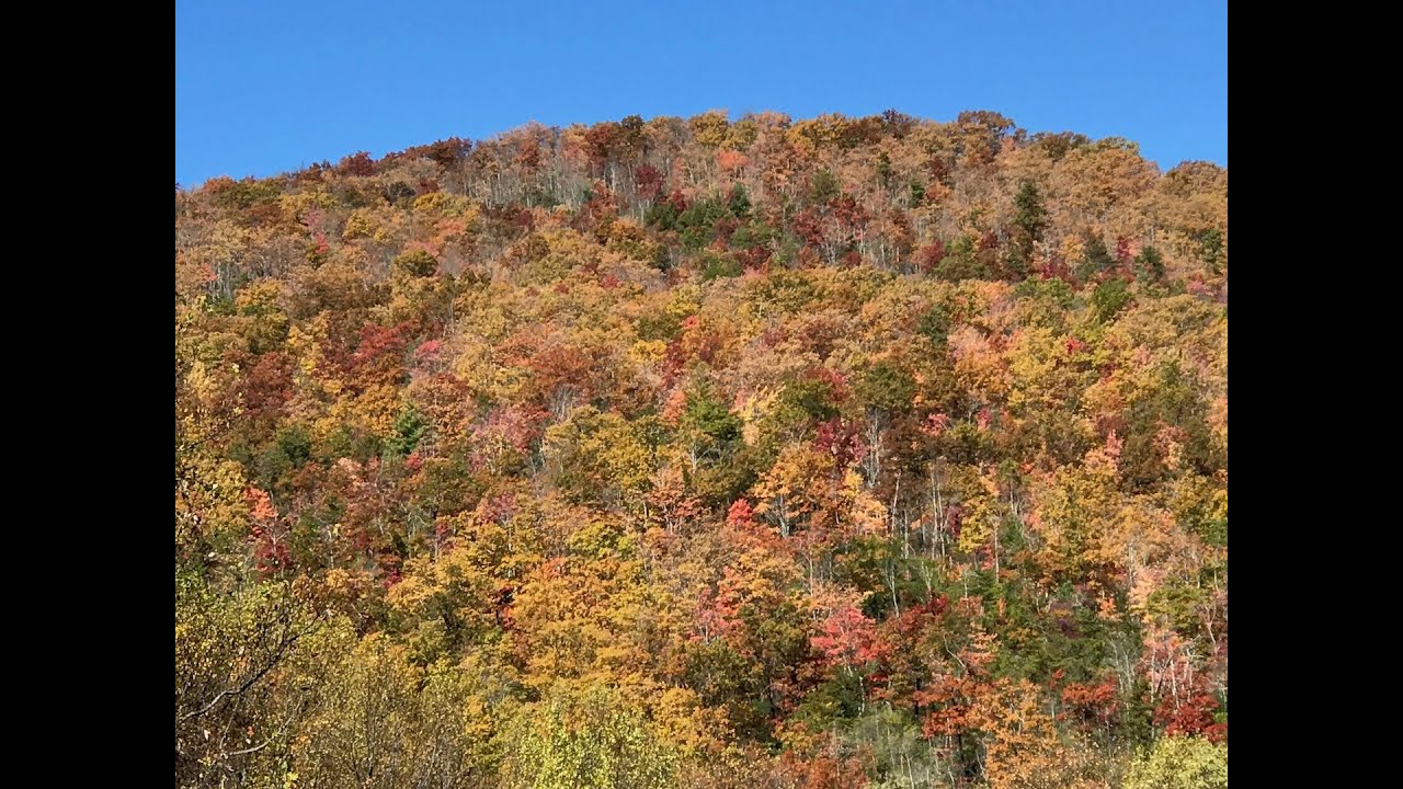 Our 2019 Tennessee Vacation