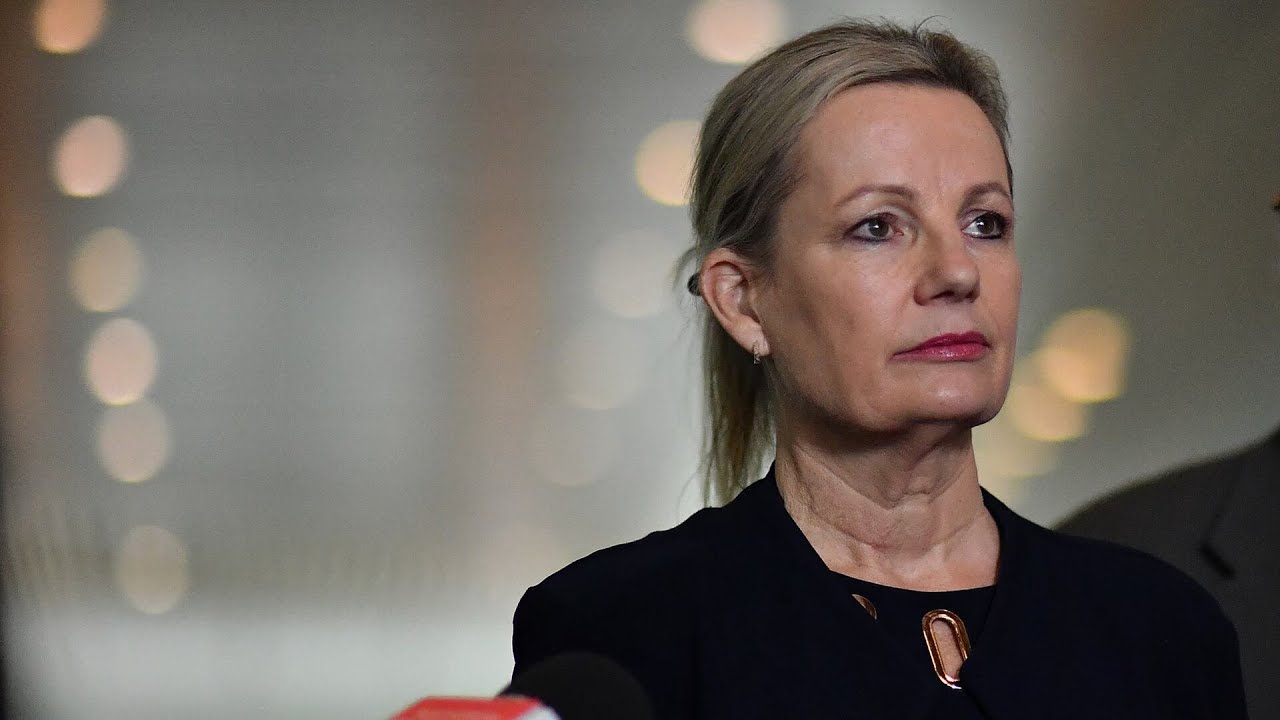 ‘Matter of time’: Sentiment around Sussan Ley leadership discussed