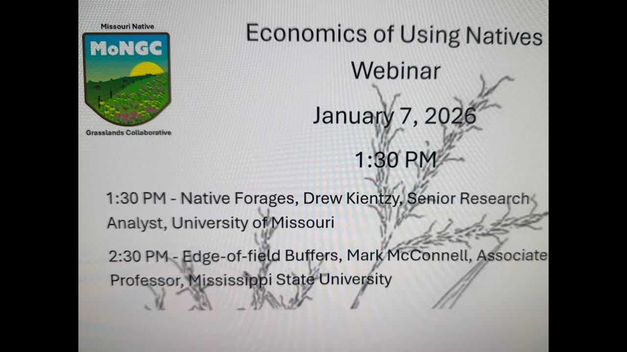Economics of Using Natives for Forage or Edge-of-Field Buffers