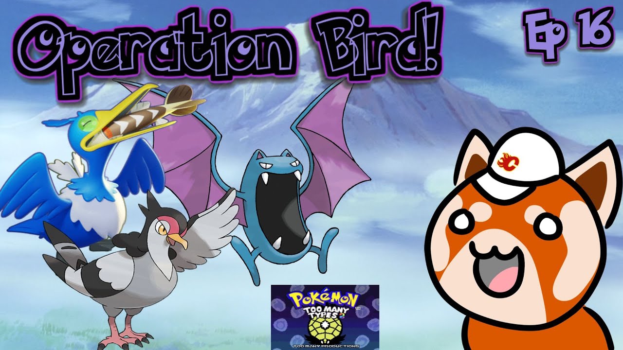 Operation Bird!! | Pokemon Too Many Types 2 Ep16