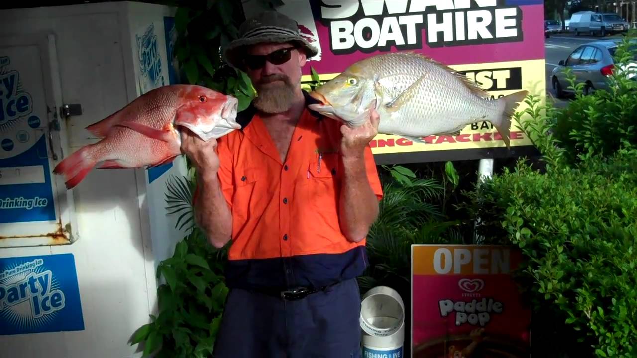 Offshore Catch Gallery: Grass sweetlip and Red Emperor at Murphy's Reef.