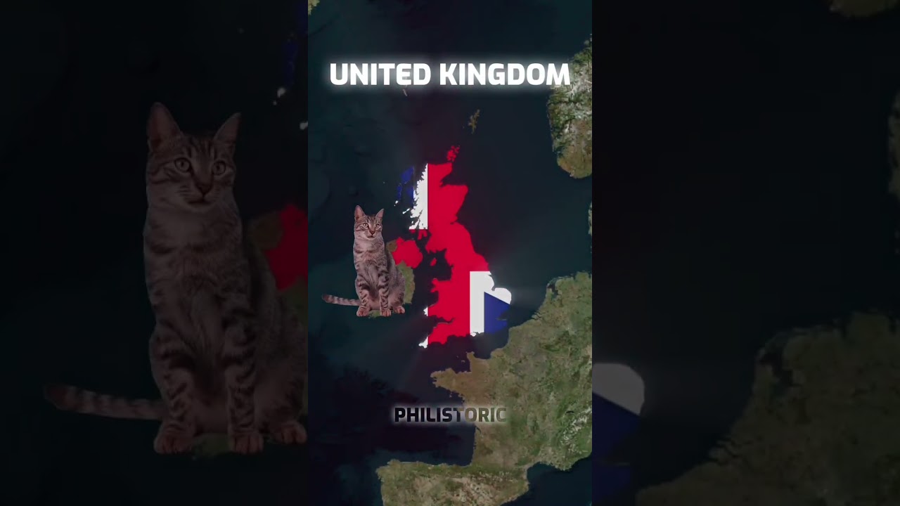 Countries with the most Cats#history #geography #country #cat #shorts #foryou #fyp #foryoupage #fypシ