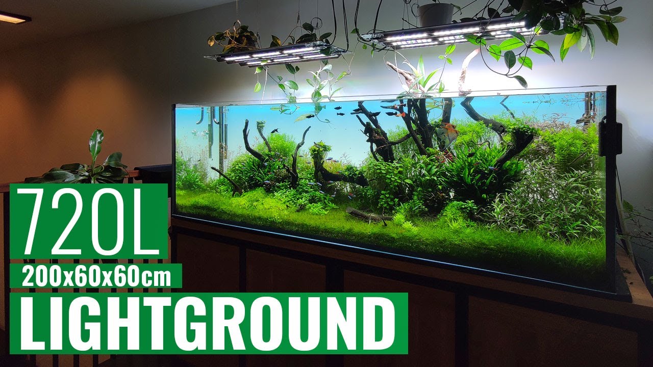 Lightground  - Akwarium 720L - 200x60x60cm