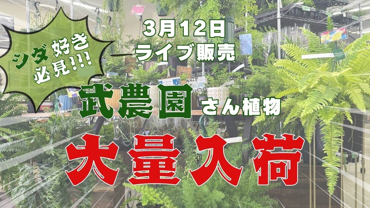 Bee garden がライブ配信中！