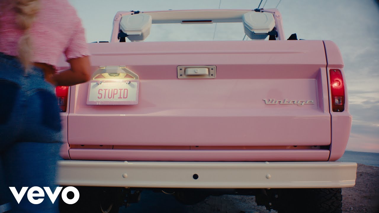 Megan Moroney - Stupid (Official Lyric Video)