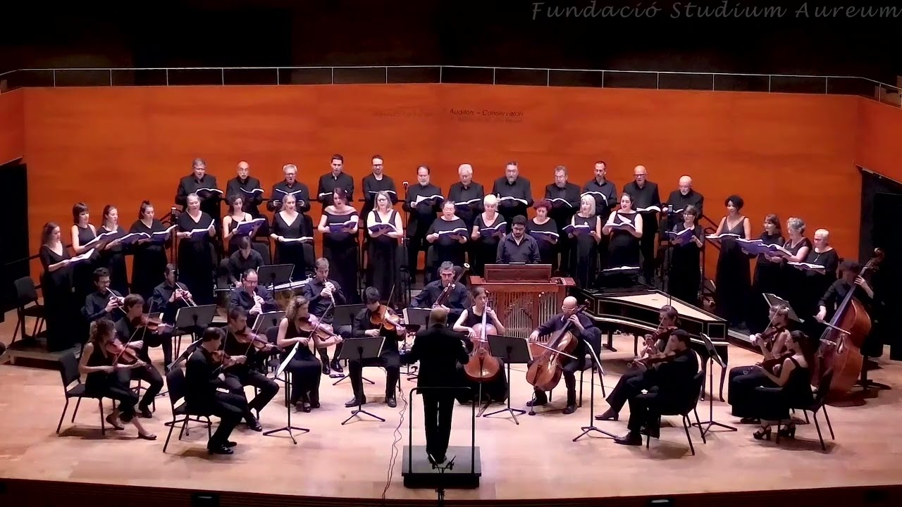El nostre Messies