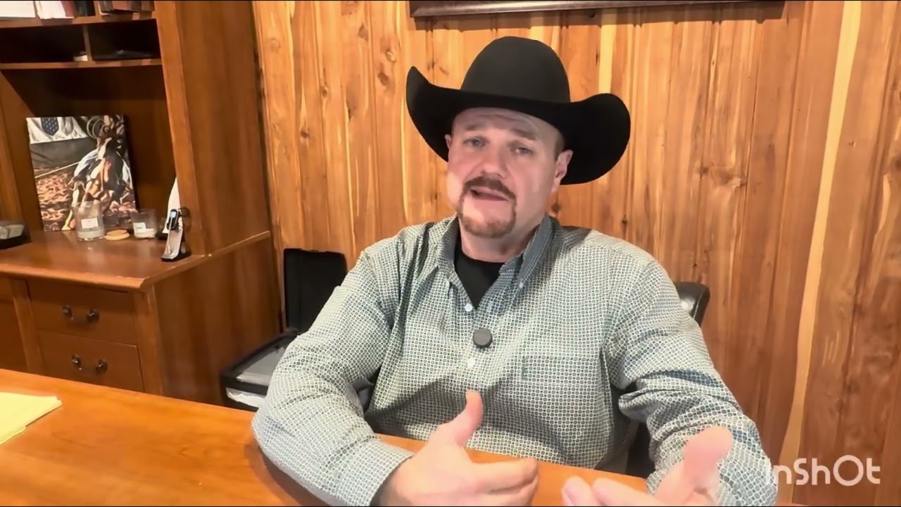 Equine Insurance Episode 4 Stallions, Mares and Foals