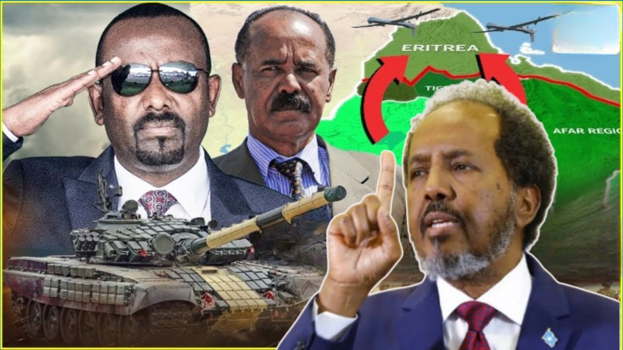 Dagaalka Itoobiya Iyo Erateria , Maxuu MD Hassan Ka Damacsan Yahay Halista Dhaqaalaha Dalka