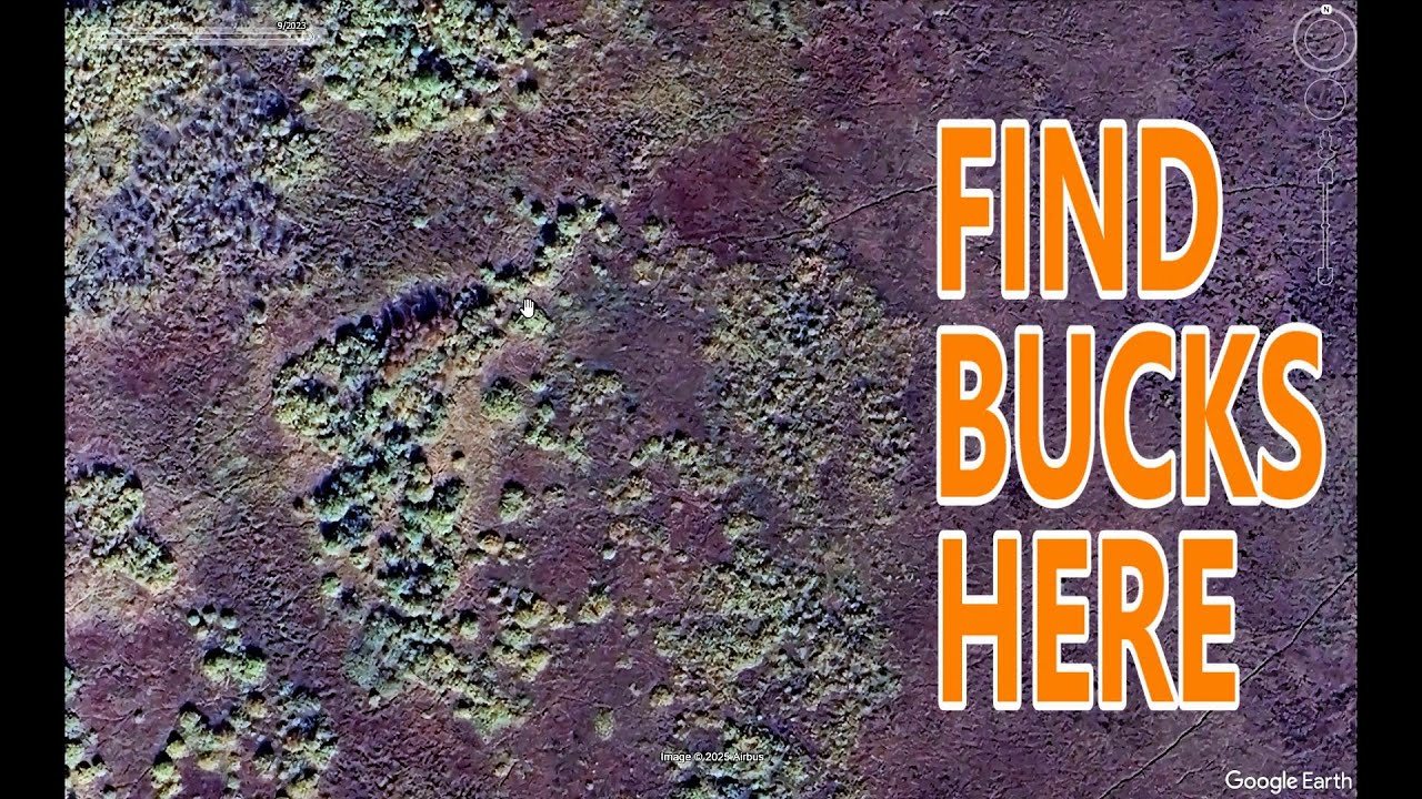 E Scouting Strategies For Deer [5 Key Steps]