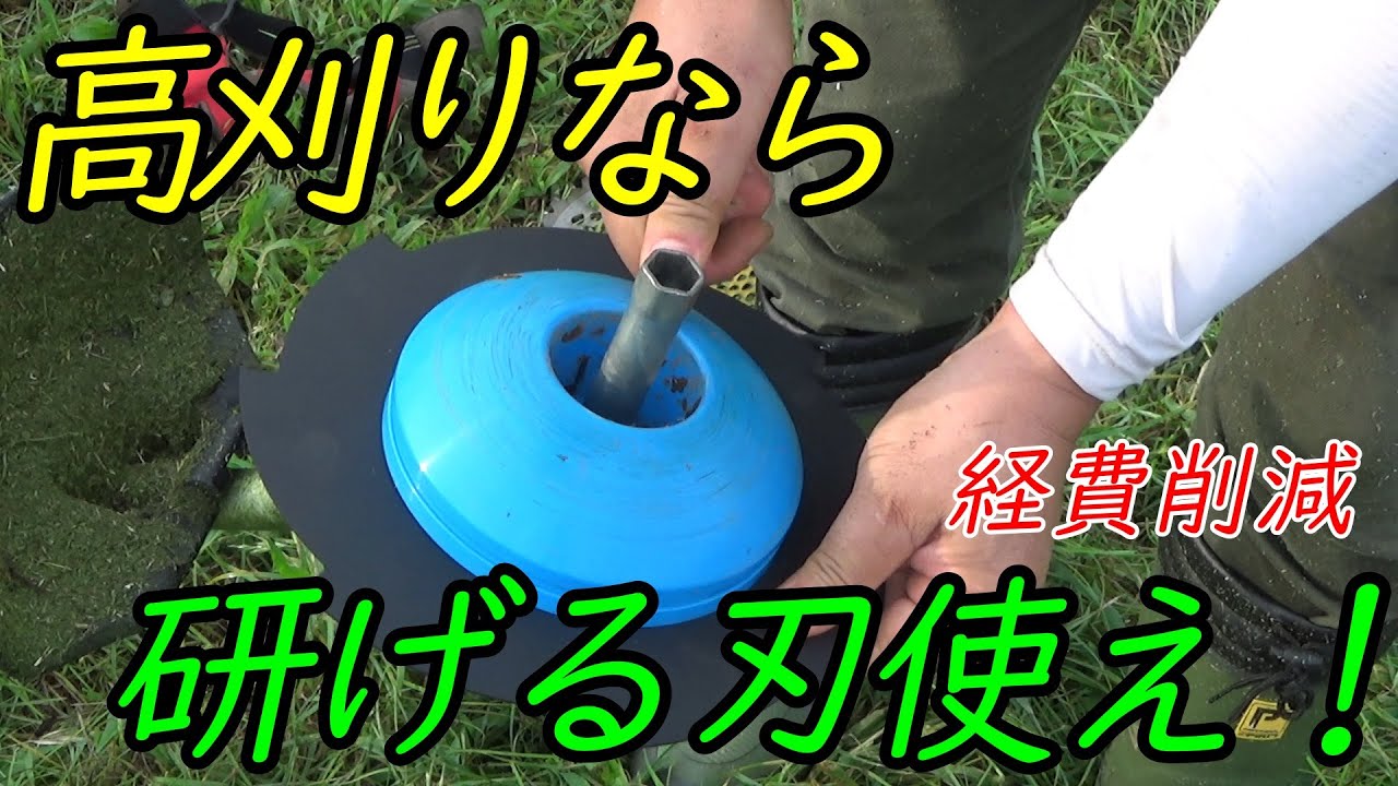 高刈りで石を跳ねないなら、チップソーでなくてもいいんじゃない？？？