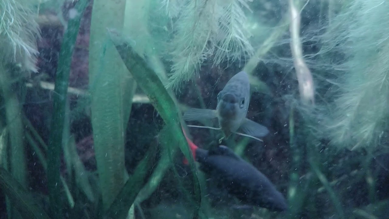 Not exactly paradise