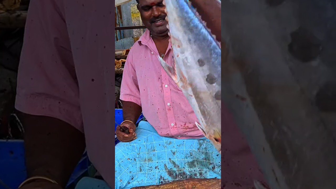 KASIMEDU 🔥TREVALLY FISH CUTTING 