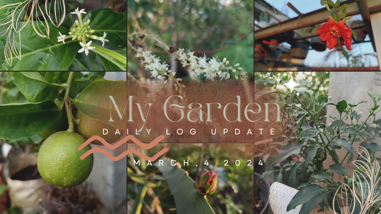 Lihat update kebun yuk.