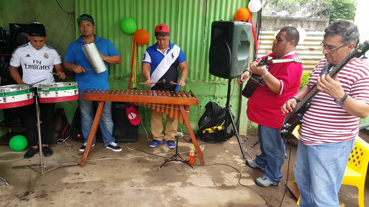 marimba flor de pino