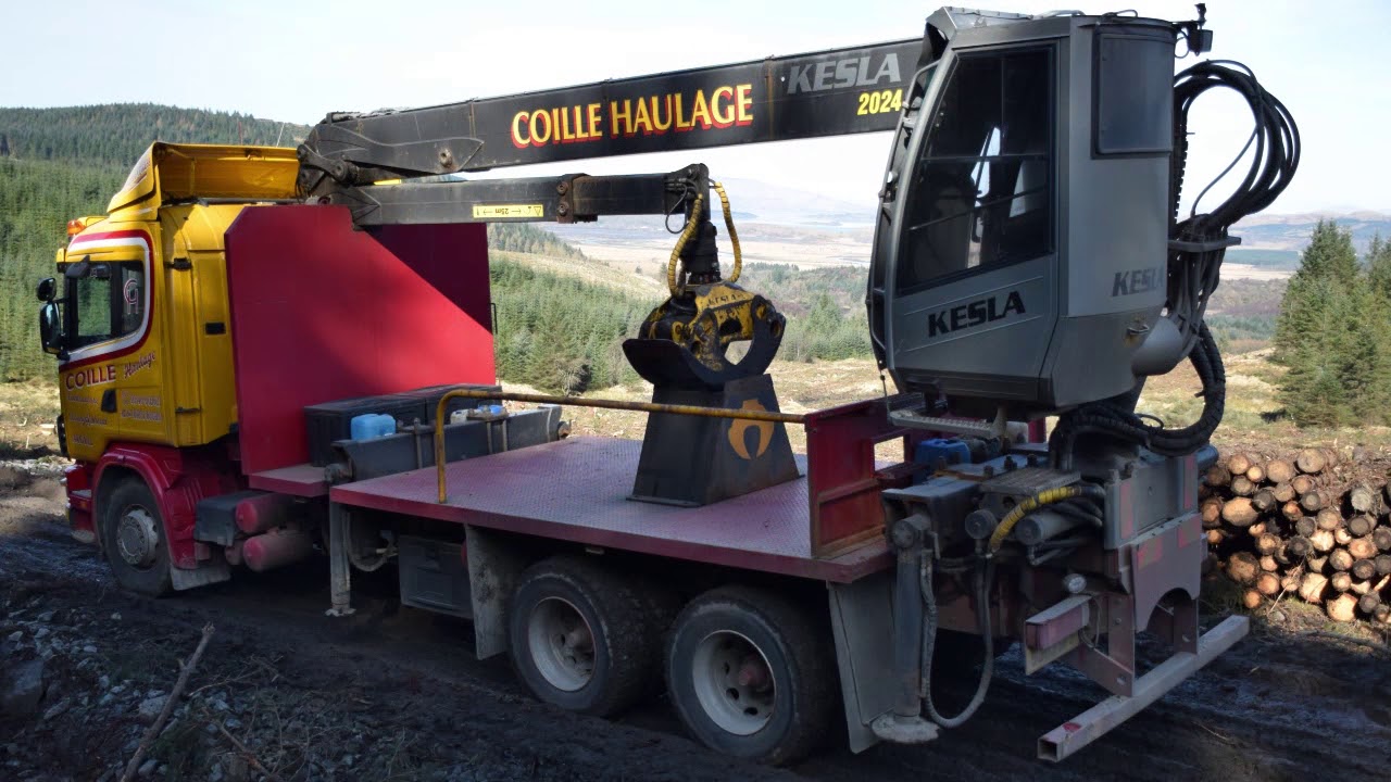 Forest Machine Magazine A Year In Photos