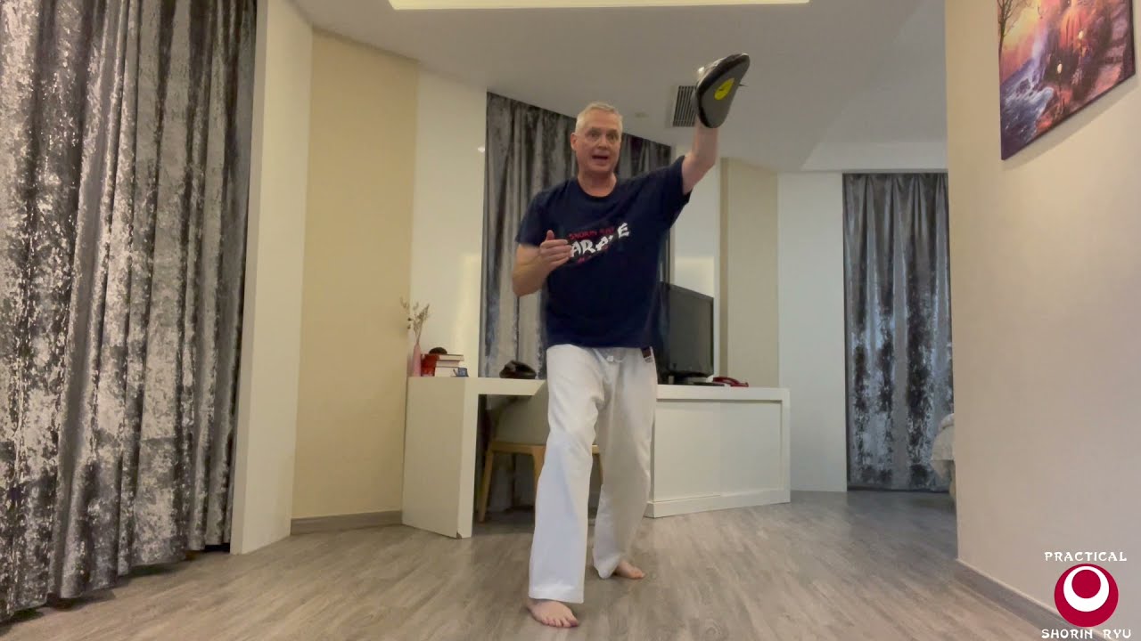 Kihon Solo Pad Drill for High Block