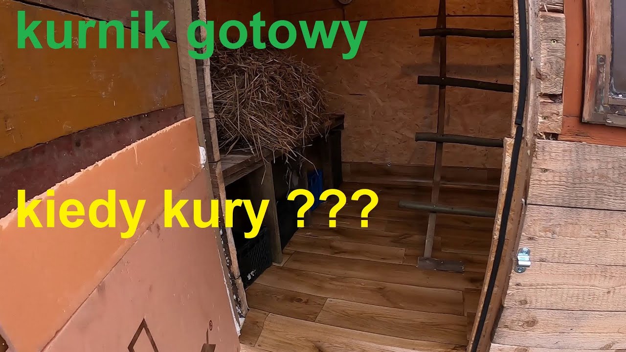 Nasze życie na wsi - budowa kurnika, robimy gniazda i grzędy, wstawiamy też wyposażenie kurnika.