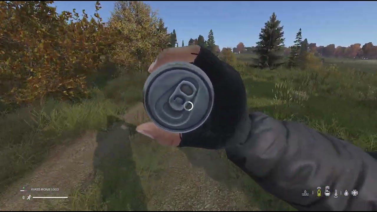 DayZ_20260216015524