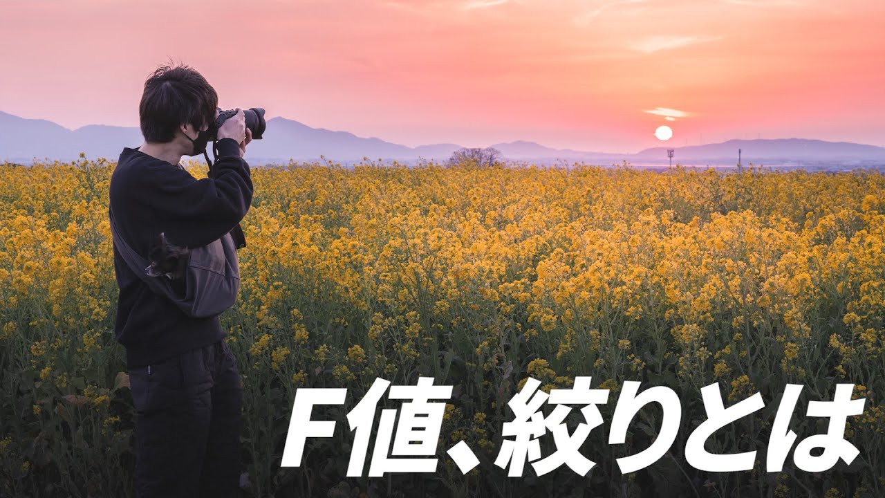 【保存版】F値(絞り)をマスターすると写真のレベルが一気に上がります！！！