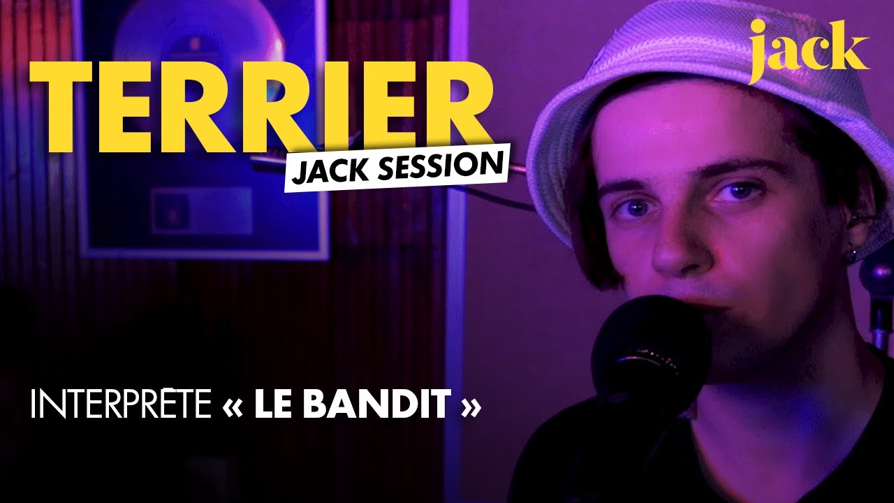 Terrier - Le bandit l LIVE