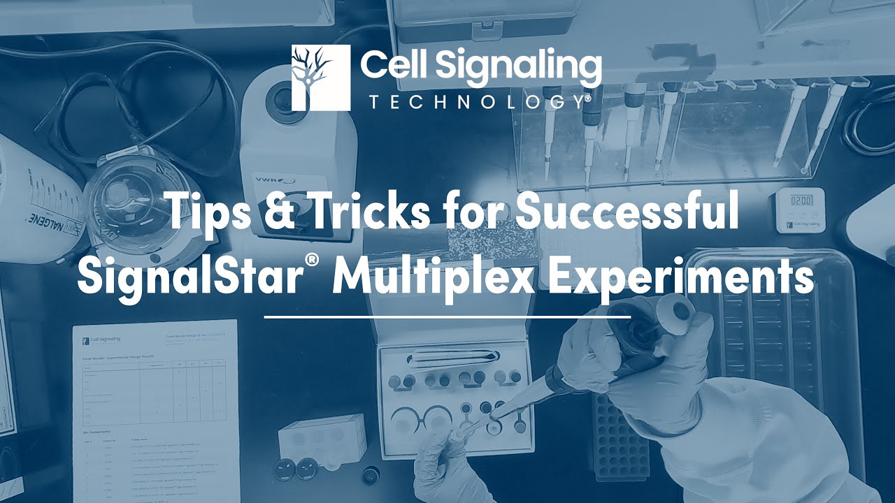 Tips & Tricks for Successful SignalStar® Multiplex Experiments