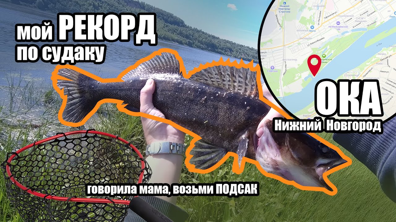 Рыбалка на спиннинг взабродку на Оке в черте Нижнего Новгорода, нашел точку, которая сделала рыбалку