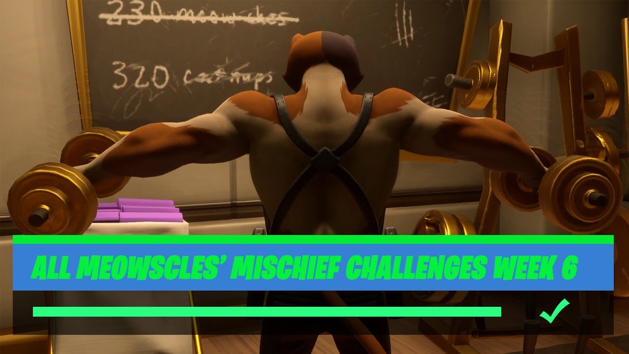 Fortnite All 'Meowscles' Mischief' (Week 6) Challenges Guide - Chapter 2 Season 2