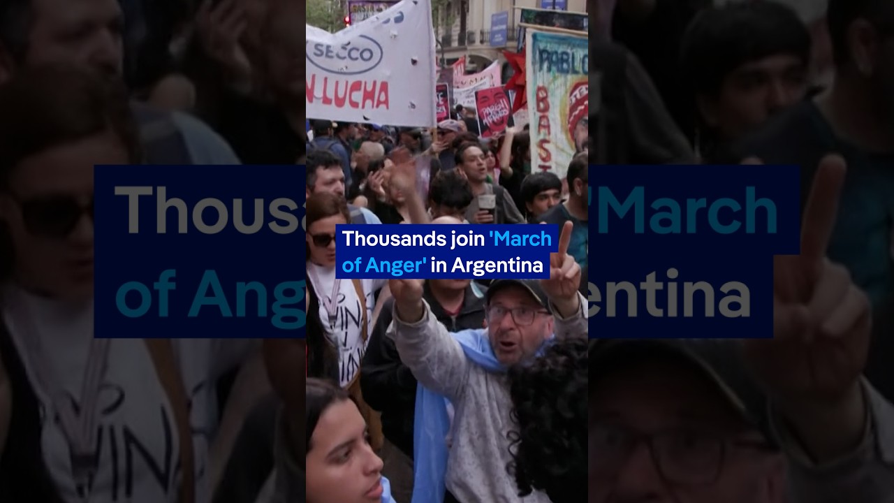Protest against Milei's austerity measures | DW News