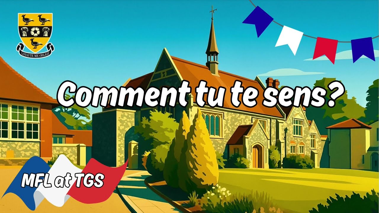 🇫🇷 Comment tu te sens? 