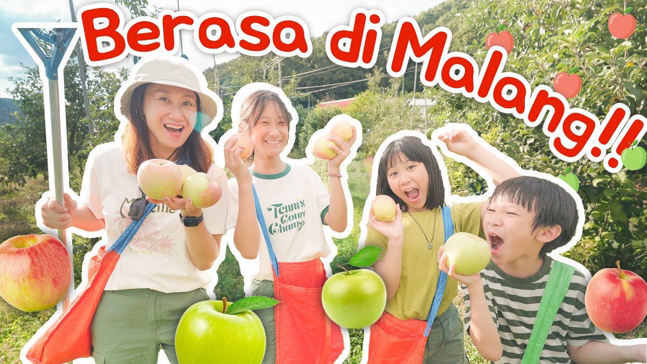 PANEN APEL KOREA! 🍏