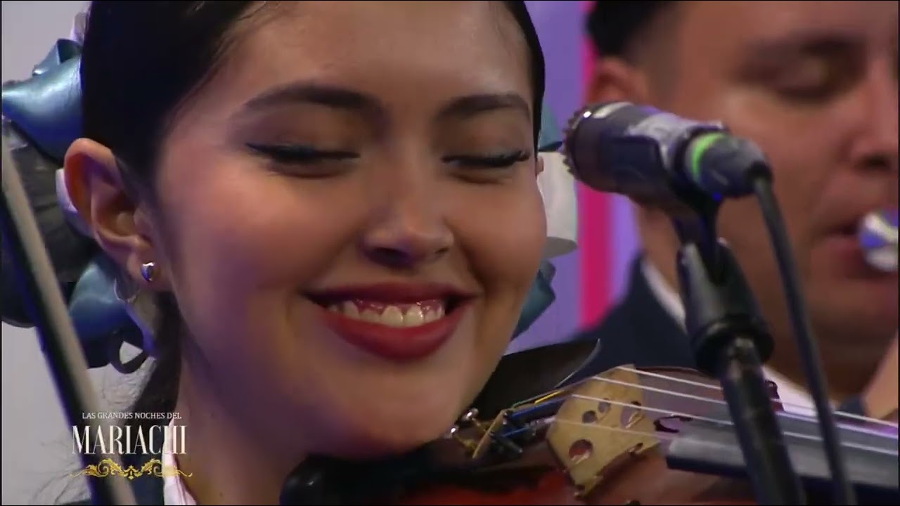 Viva Veracruz (Noches de Mariachi)-Mariachi Juvenil Mexicanisimo