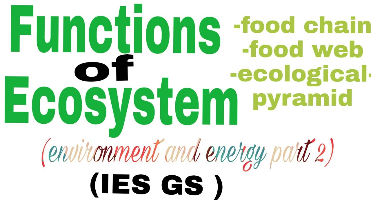 functions of ecosystem, food chain,food web, ecological pyramids,IES GS environment and energy part2