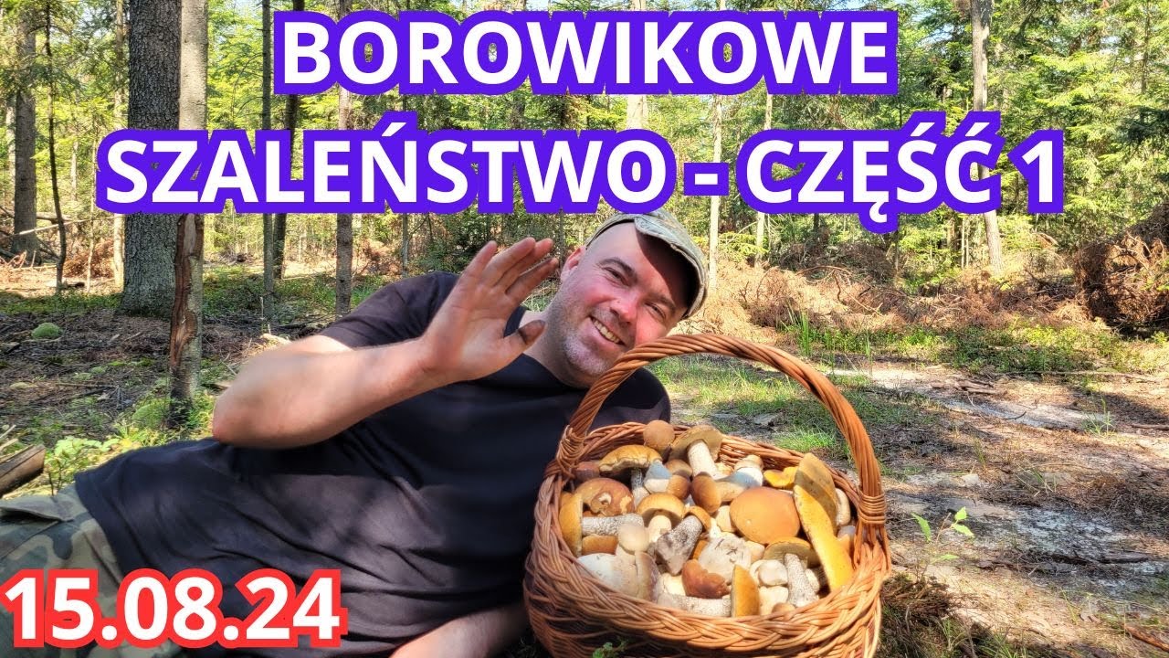 BOROWIKOWE SZALEŃSTWO - CZĘŚĆ1 15.08.24