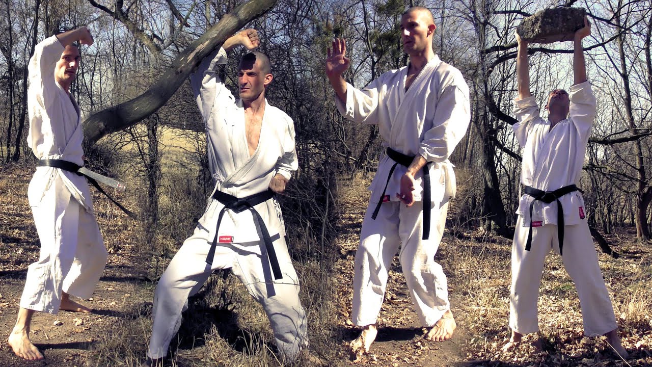 Shotokan Karate Kata Bunkai - Natural Training Tips and Examples - Forest Dojo