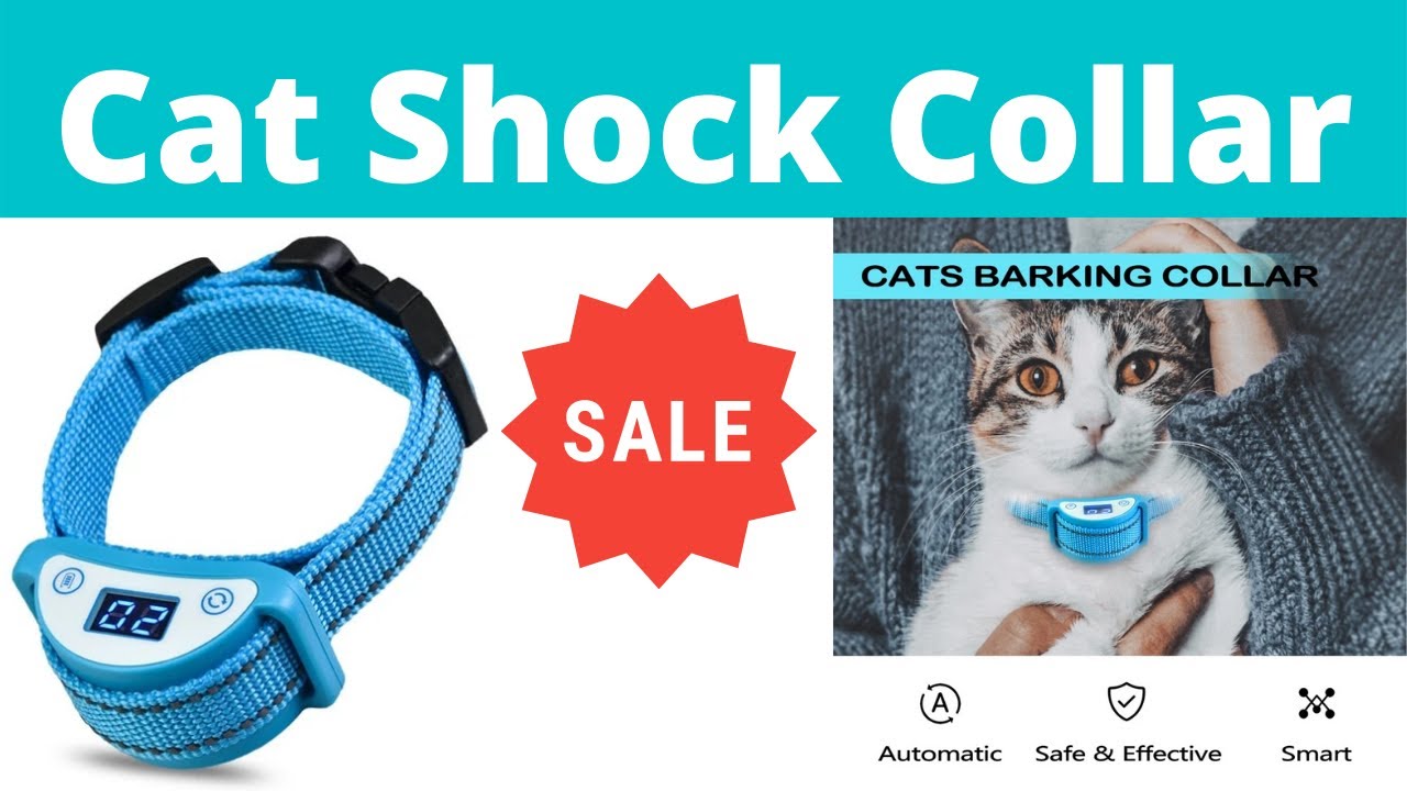 Cat Shock Collar | Cat Training Collar